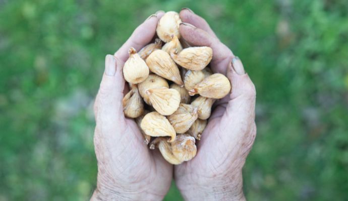 fichi cosenza pdo